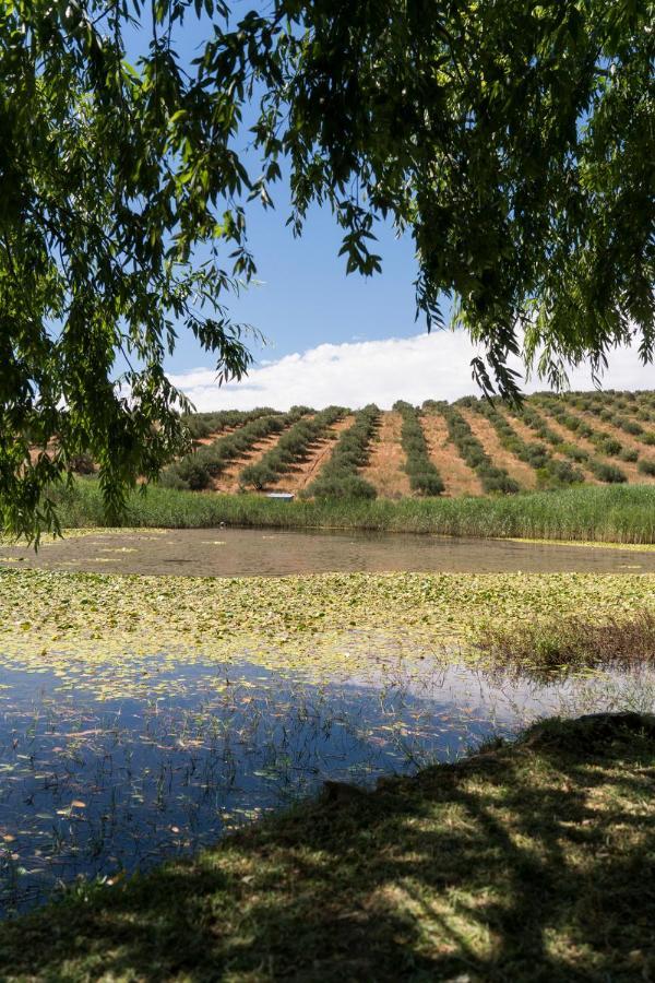 Kleinkloof Farm Villa Piketberg Eksteriør bilde